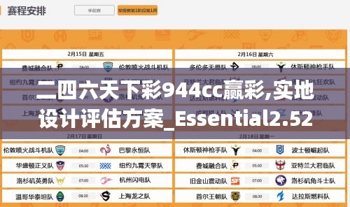 二四六天下彩944cc赢彩,实地设计评估方案_Essential2.521