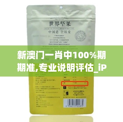 新澳门一肖中100%期期准,专业说明评估_iPad6.771