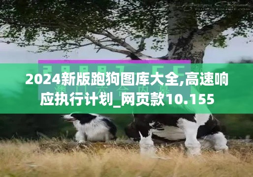 2024新版跑狗图库大全,高速响应执行计划_网页款10.155
