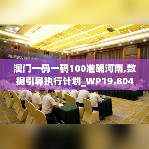 澳门一码一码100准确河南,数据引导执行计划_WP19.804