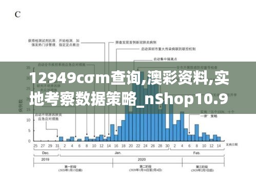 12949cσm查询,澳彩资料,实地考察数据策略_nShop10.908