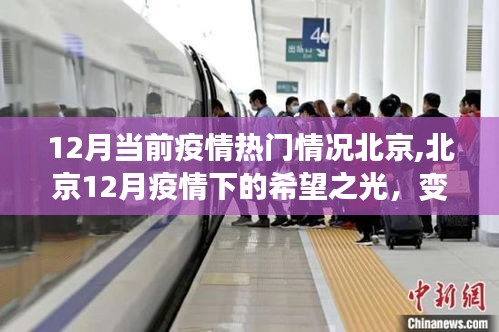 北京12月疫情下的希望之光，学习之旅的自信崛起与变化