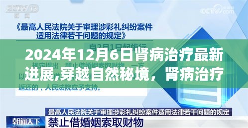 倦鸟思归 第3页