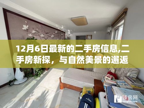 贵阴贱璧 第3页