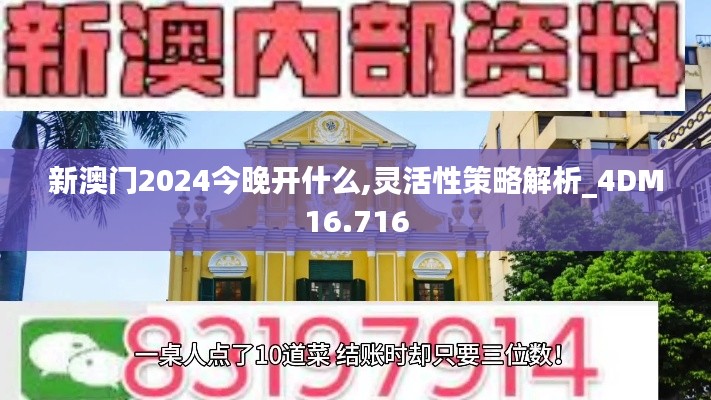 新澳门2024今晚开什么,灵活性策略解析_4DM16.716
