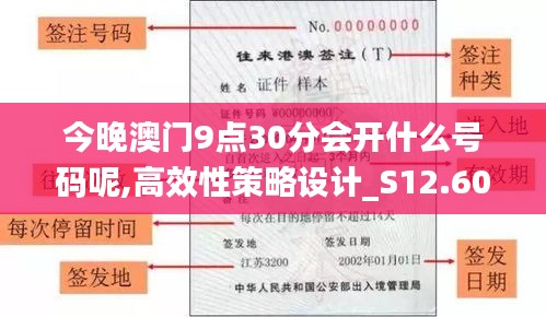 今晚澳门9点30分会开什么号码呢,高效性策略设计_S12.608