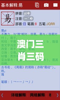 澳门三肖三码精准100%新华字典,调整细节执行方案_界面版6.344