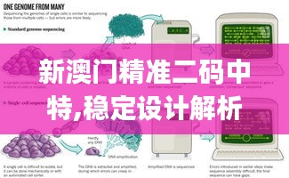 新澳门精准二码中特,稳定设计解析方案_免费版17.188