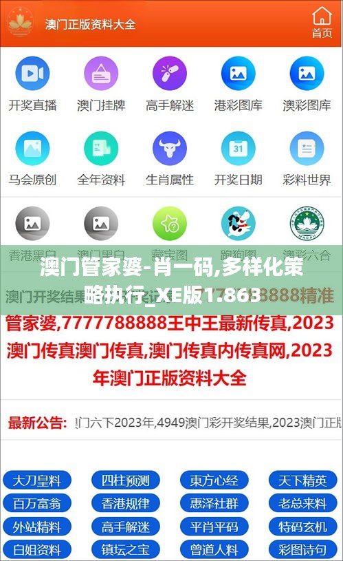 澳门管家婆-肖一码,多样化策略执行_XE版1.863