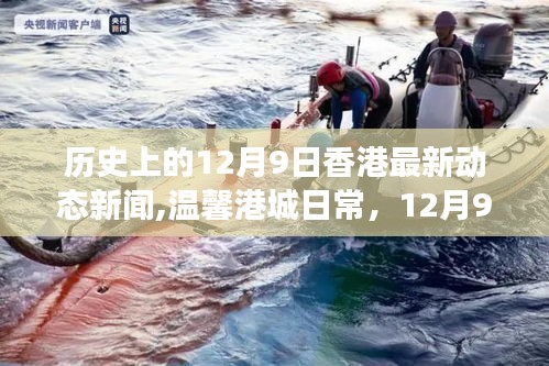 香港最新动态新闻，12月9日阳光下的温馨港城与友情交织时刻