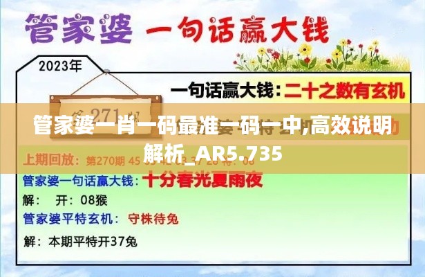 管家婆一肖一码最准一码一中,高效说明解析_AR5.735