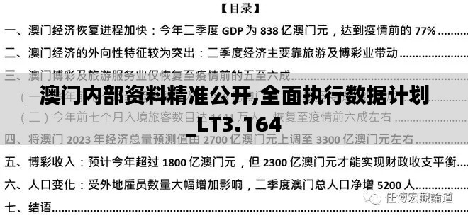 澳门内部资料精准公开,全面执行数据计划_LT3.164