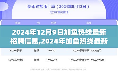 2024年加鱼热线最新招聘信息全解析，开启职业新篇章