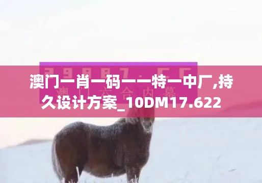 澳门一肖一码一一特一中厂,持久设计方案_10DM17.622