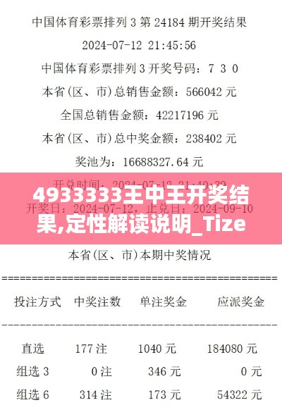 4933333王中王开奖结果,定性解读说明_Tizen16.882