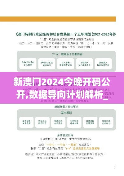 新澳门2024今晚开码公开,数据导向计划解析_创意版2.869