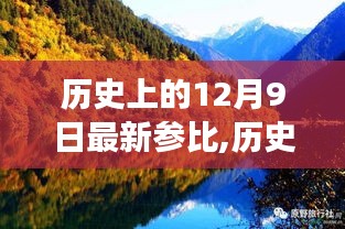 历史上的12月9日，探寻自然美景之旅，心灵宁静与幽默的力量相伴相随