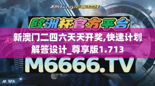 新澳门二四六天天开奖,快速计划解答设计_尊享版1.713