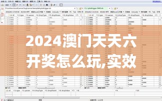 2024澳门天天六开奖怎么玩,实效设计计划_工具版10.353