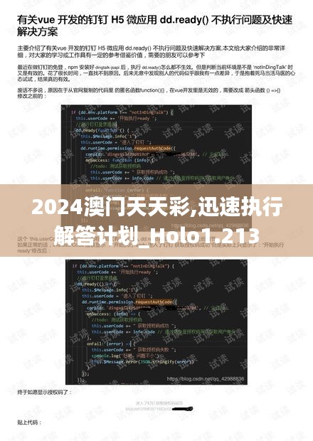 2024澳门天天彩,迅速执行解答计划_Holo1.213