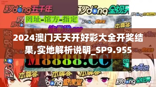 2024澳门天天开好彩大全开奖结果,实地解析说明_SP9.955