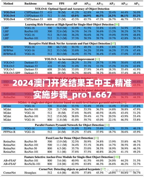 2024澳门开奖结果王中王,精准实施步骤_pro1.667