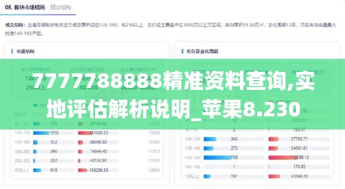 7777788888精准资料查询,实地评估解析说明_苹果8.230