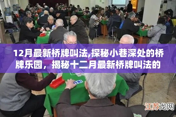 揭秘十二月最新桥牌叫法的独特魅力，小巷深处的桥牌乐园探索