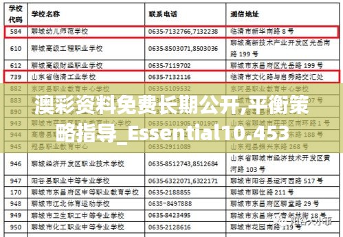 澳彩资料免费长期公开,平衡策略指导_Essential10.453