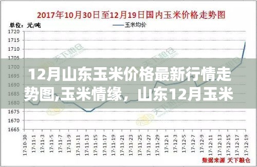 白璧无瑕 第2页