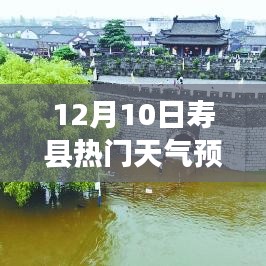 生张熟魏 第3页