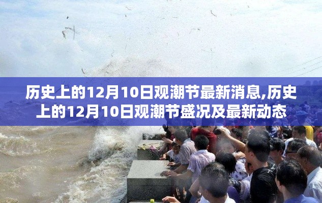 历史上的12月10日观潮节盛况与最新动态概览