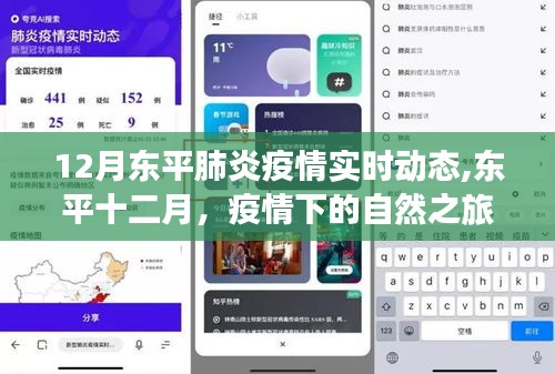 东平十二月疫情实时动态，疫情下的自然之旅与内心宁静港湾探寻