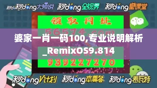 婆家一肖一码100,专业说明解析_RemixOS9.814