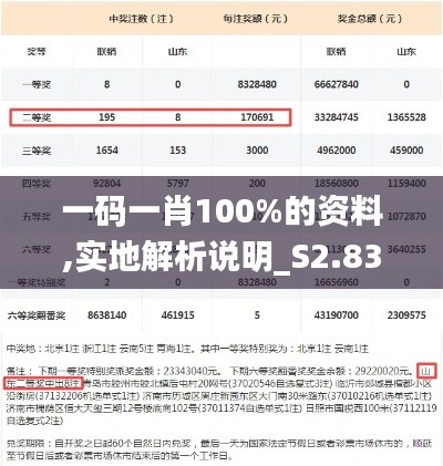 一码一肖100%的资料,实地解析说明_S2.832