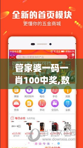管家婆一码一肖100中奖,数据整合设计执行_特供款5.927