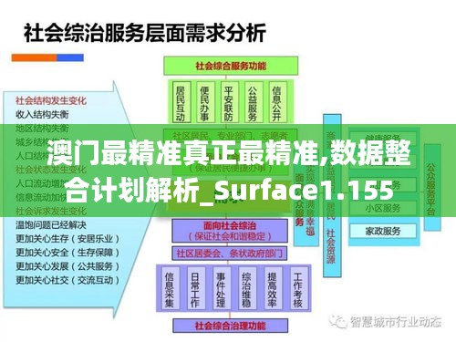 澳门最精准真正最精准,数据整合计划解析_Surface1.155