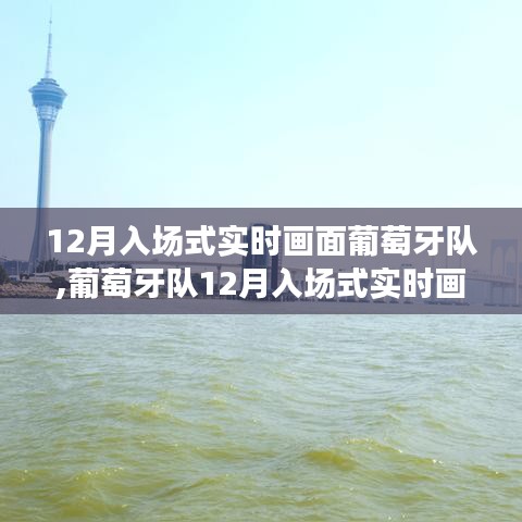 葡萄牙队12月入场式实时画面观赏指南，从零起步到身临其境的体验