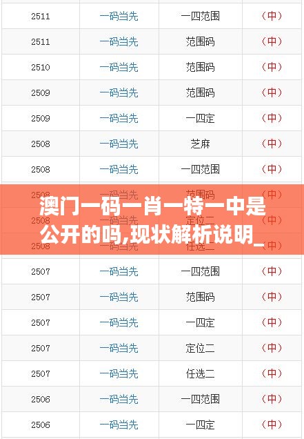 澳门一码一肖一特一中是公开的吗,现状解析说明_QHD8.912