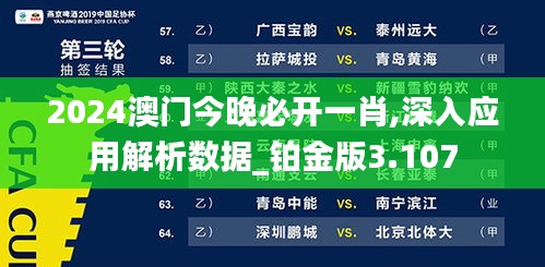 2024澳门今晚必开一肖,深入应用解析数据_铂金版3.107