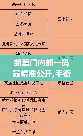 新澳门内部一码最精准公开,平衡实施策略_3K13.881