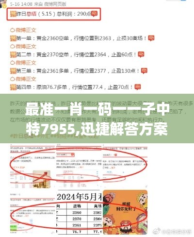 最准一肖一码一一子中特7955,迅捷解答方案实施_黄金版10.195