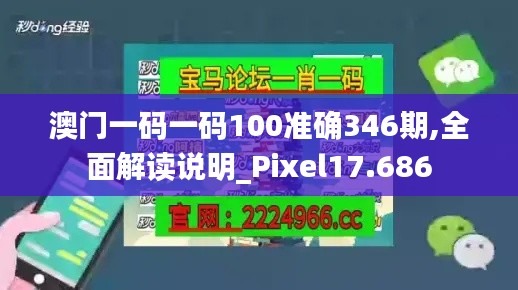 雍容典雅 第2页