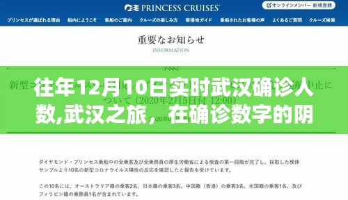武汉之旅，在确诊数字阴影下寻找自然疗愈力量的力量之路