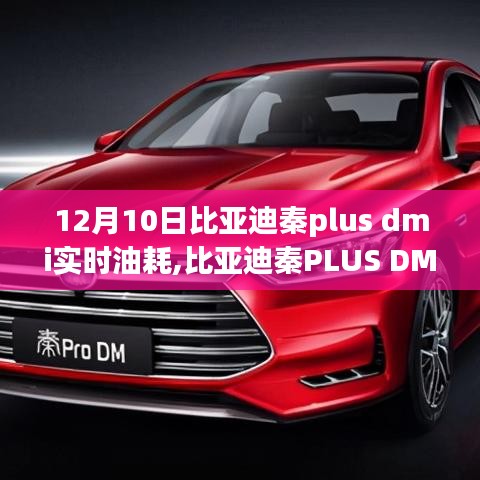 12月10日更新版，比亚迪秦PLUS DM-i实时油耗查看指南及最新实时油耗数据
