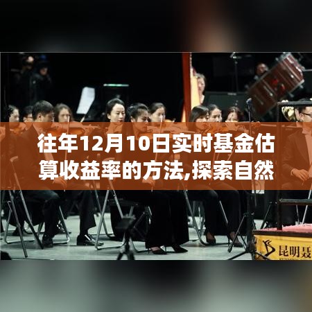 还淳反素 第2页