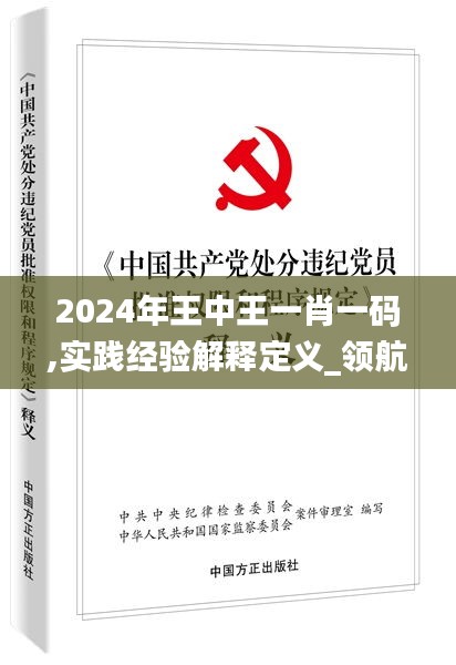 龙飞九五 第2页