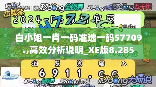 白小姐一肖一码准选一码57709.,高效分析说明_XE版8.285