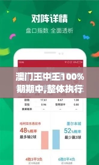 澳门王中王100%期期中,整体执行讲解_Windows5.848