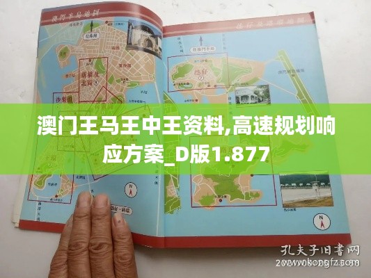 澳门王马王中王资料,高速规划响应方案_D版1.877